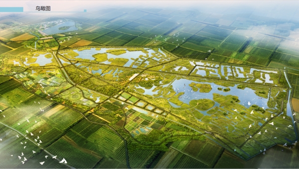 天津市武清区大黄堡湿地自然保护区，面积为104.65 平方公里.jpg